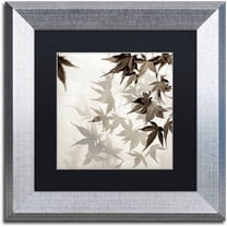 Trademark Fine Art "Florison 57" Canvas Art by Alan Blaustein, Black Matte, Silver Frame