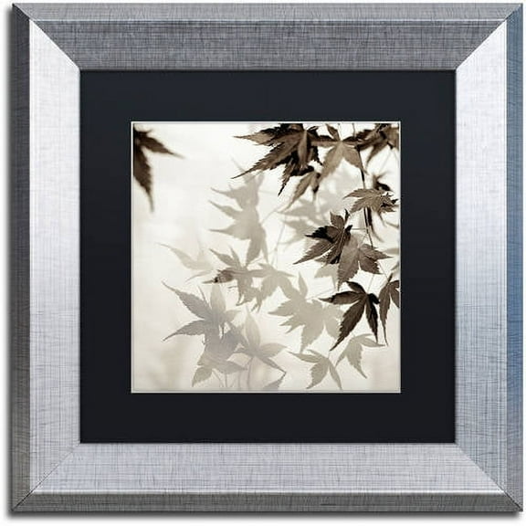 Trademark Fine Art "Florison 57" Canvas Art by Alan Blaustein, Black Matte, Silver Frame