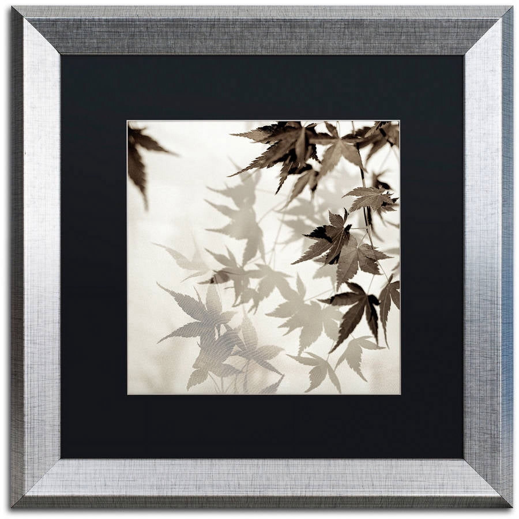 Trademark Fine Art "Florison 57" Canvas Art by Alan Blaustein, Black Matte, Silver Frame