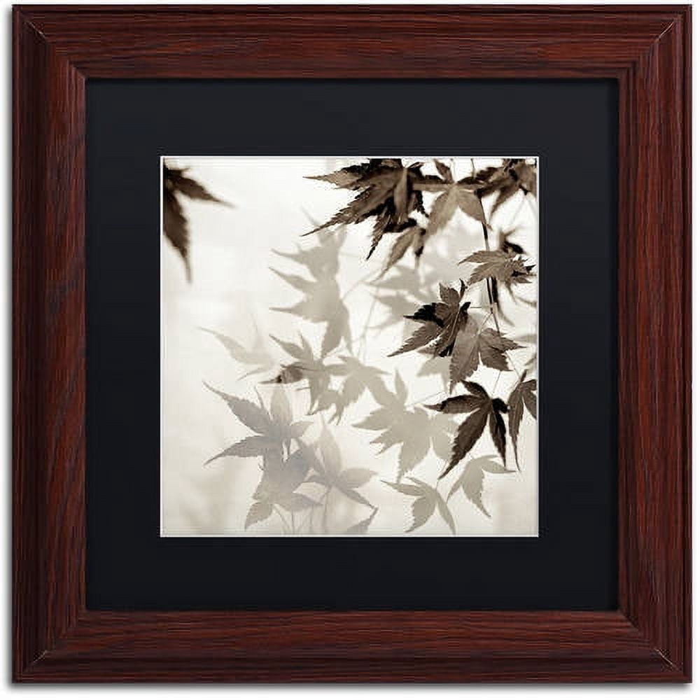 Trademark Fine Art "Florison 57" Canvas Art by Alan Blaustein, Black Matte, Wood Frame