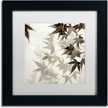 Trademark Fine Art "Florison 57" Canvas Art by Alan Blaustein, White Matte, Black Frame