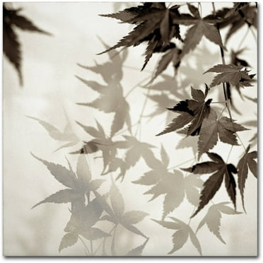 Trademark Fine Art "Florison 57" Canvas Art by Alan Blaustein
