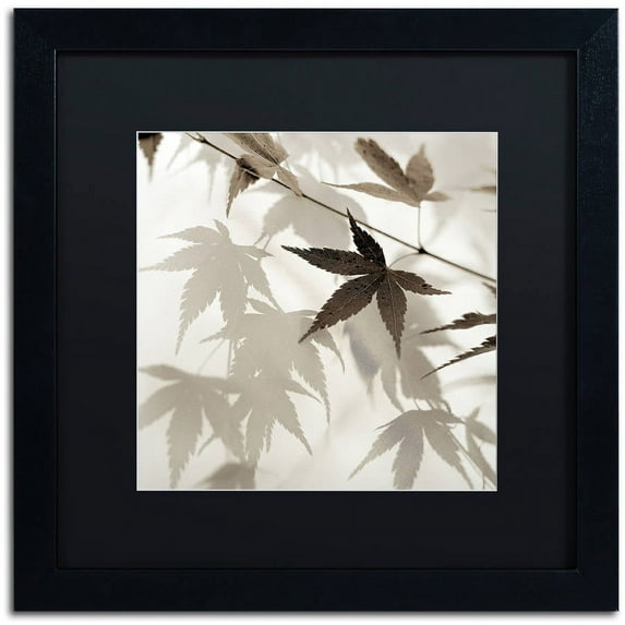 Trademark Fine Art "Florison 62" Canvas Art by Alan Blaustein, Black Matte, Black Frame