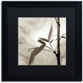 thumbnail image 1 of Trademark Fine Art "Florison 64" Canvas Art by Alan Blaustein, Black Matte, Black Frame, 1 of 4