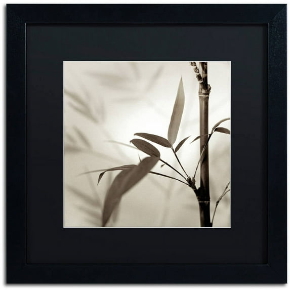 Trademark Fine Art "Florison 64" Canvas Art by Alan Blaustein, Black Matte, Black Frame