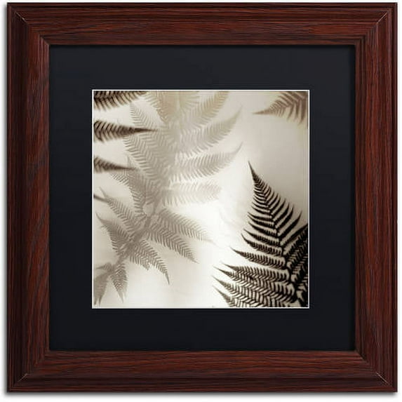 Trademark Fine Art "Florison 65" Canvas Art by Alan Blaustein, Black Matte, Wood Frame