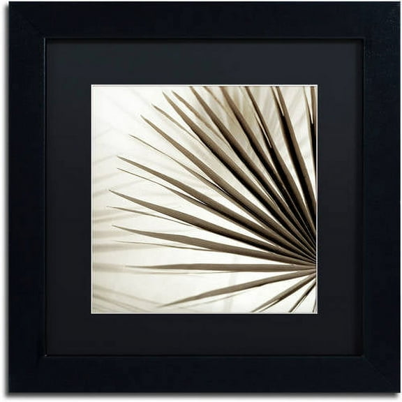 Trademark Fine Art "Florison 66" Canvas Art by Alan Blaustein, Black Matte, Black Frame