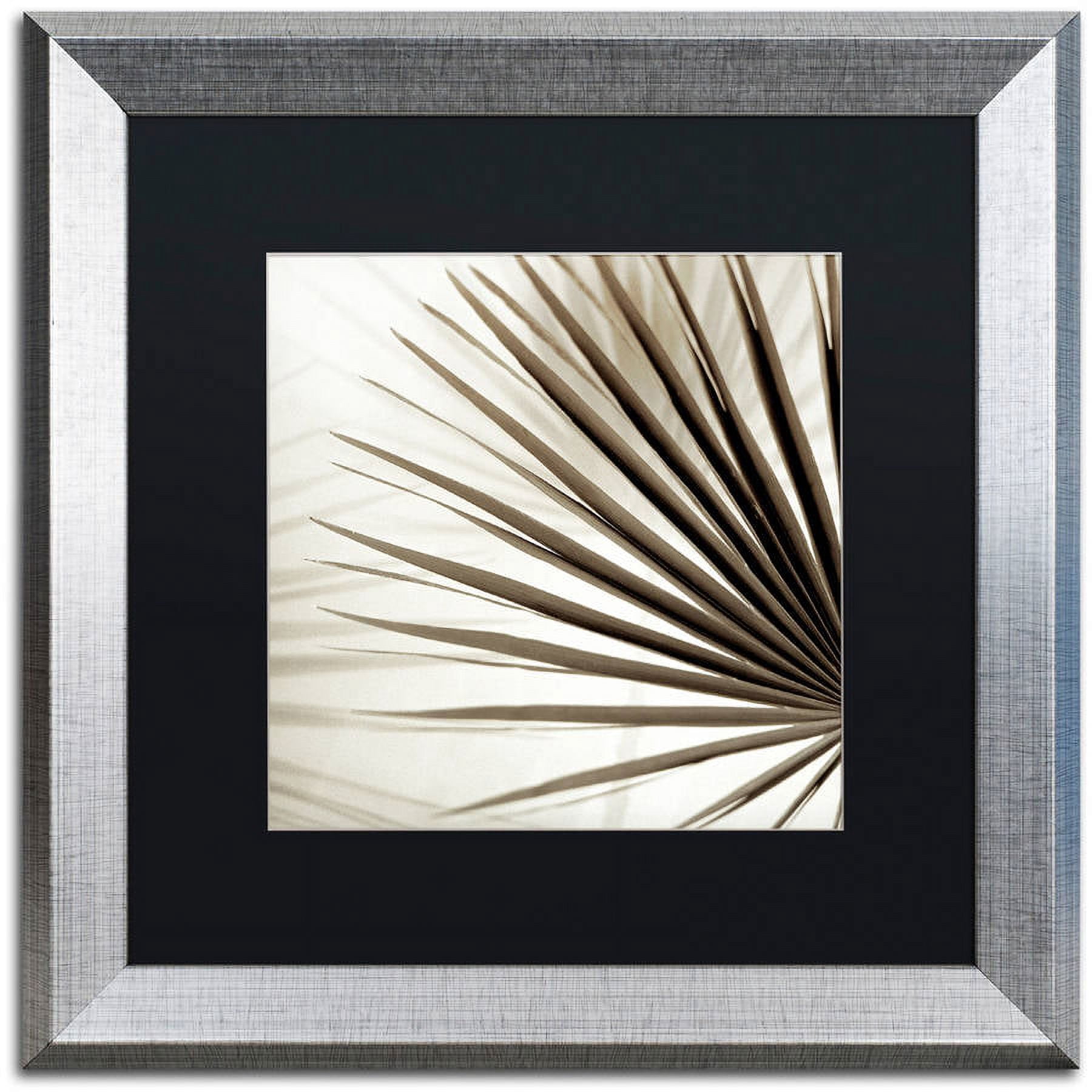 Trademark Fine Art "Florison 66" Canvas Art by Alan Blaustein, Black Matte, Silver Frame