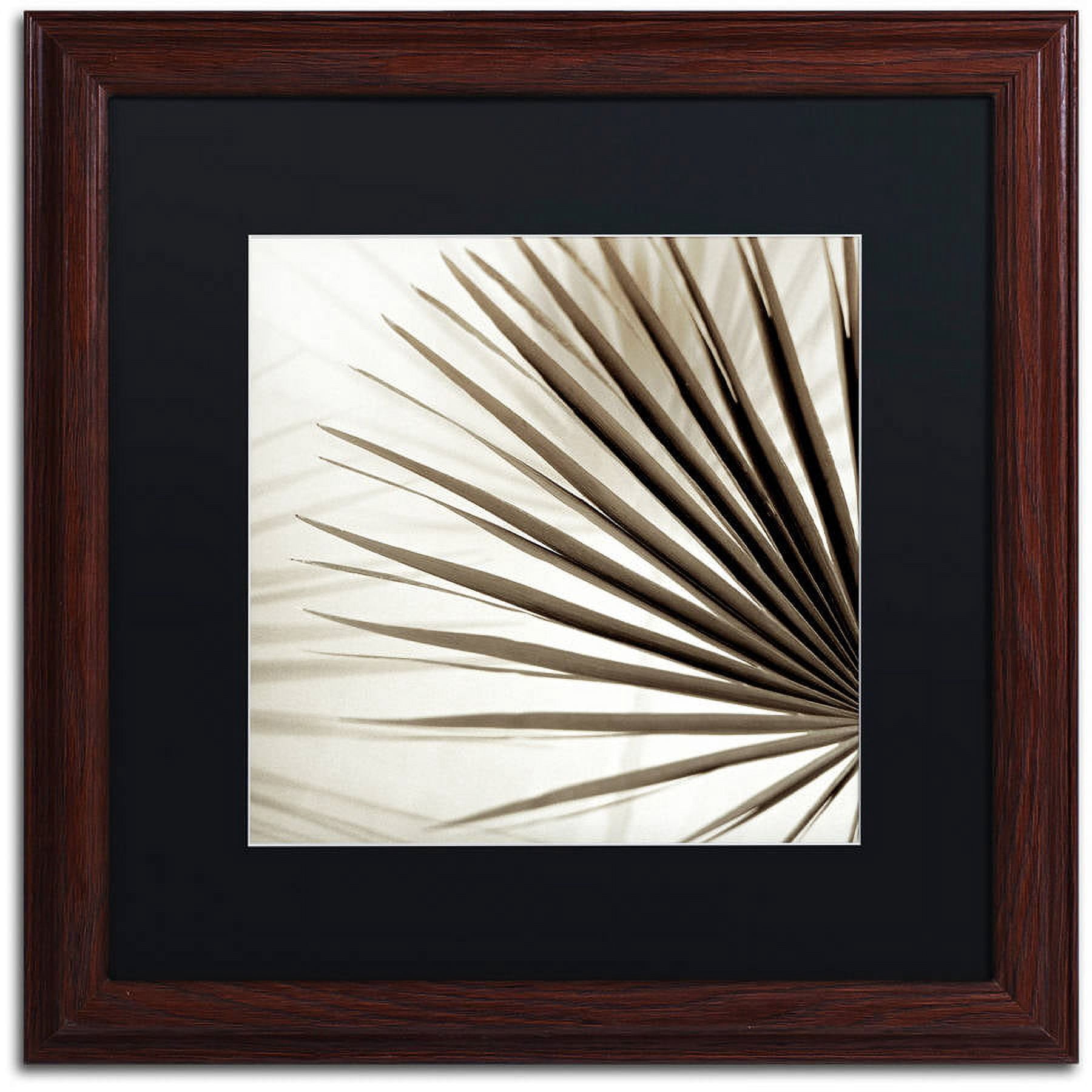Trademark Fine Art "Florison 66" Canvas Art by Alan Blaustein, Black Matte, Wood Frame
