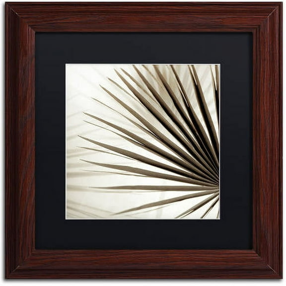 Trademark Fine Art "Florison 66" Canvas Art by Alan Blaustein, Black Matte, Wood Frame