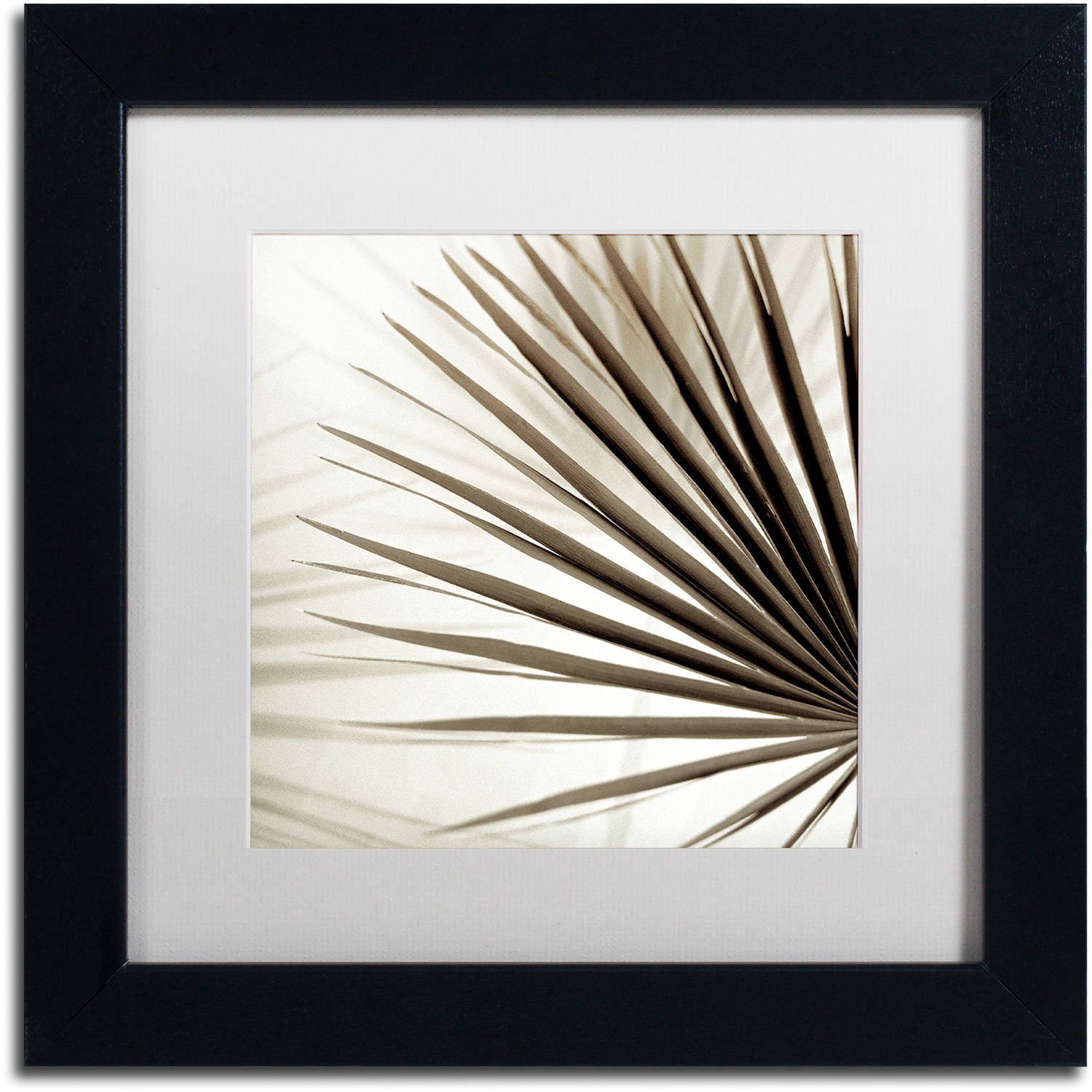 Trademark Fine Art "Florison 66" Canvas Art by Alan Blaustein, White Matte, Black Frame