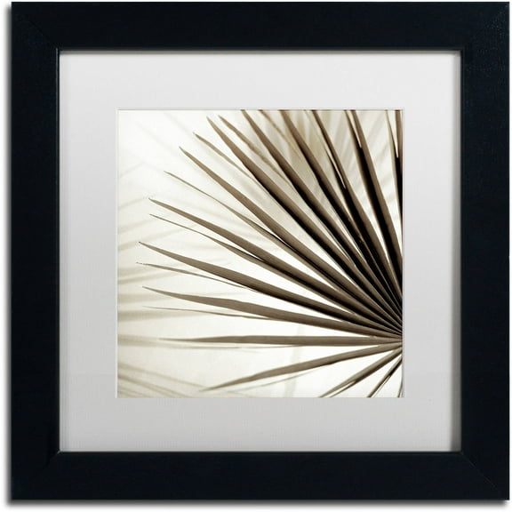 Trademark Fine Art "Florison 66" Canvas Art by Alan Blaustein, White Matte, Black Frame