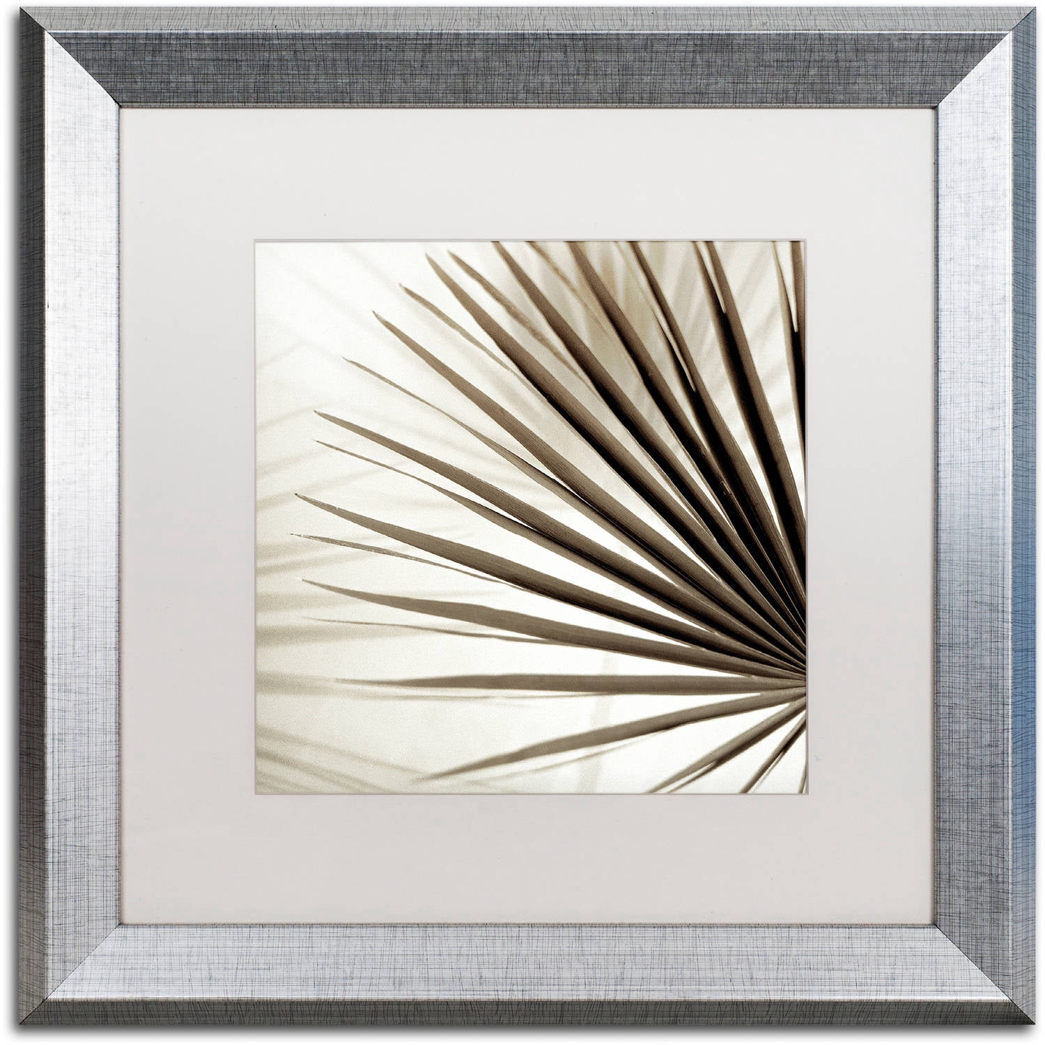 Trademark Fine Art "Florison 66" Canvas Art by Alan Blaustein, White Matte, Silver Frame