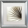 thumbnail image 1 of Trademark Fine Art "Florison 66" Canvas Art by Alan Blaustein, White Matte, Silver Frame, 1 of 4