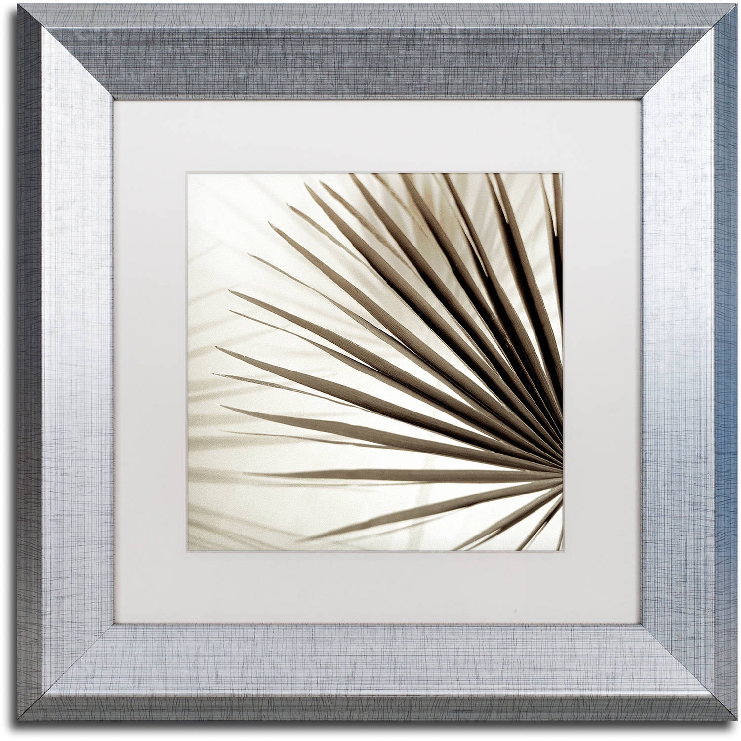 Trademark Fine Art "Florison 66" Canvas Art by Alan Blaustein, White Matte, Silver Frame