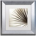 thumbnail image 1 of Trademark Fine Art "Florison 66" Canvas Art by Alan Blaustein, White Matte, Silver Frame, 1 of 4