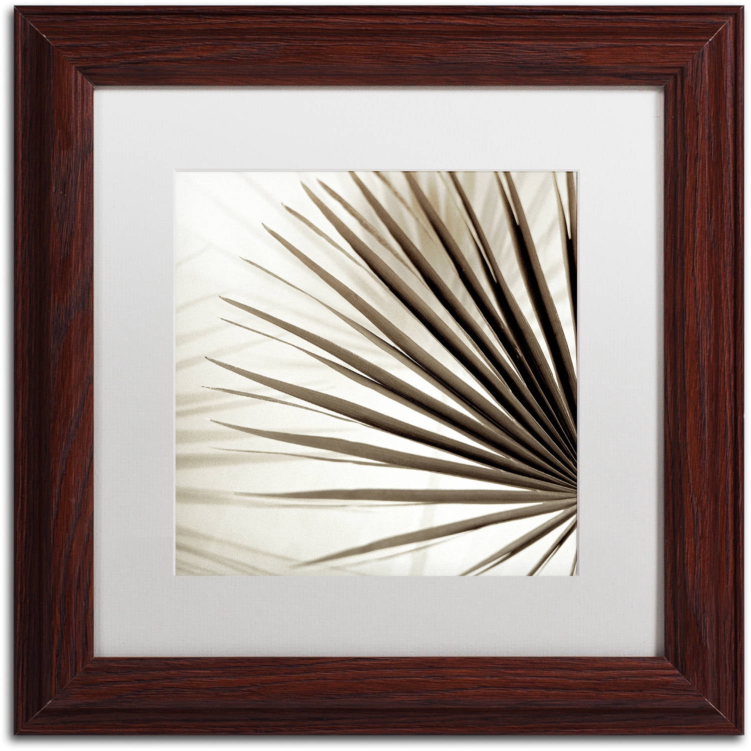 Trademark Fine Art "Florison 66" Canvas Art by Alan Blaustein, White Matte, Wood Frame