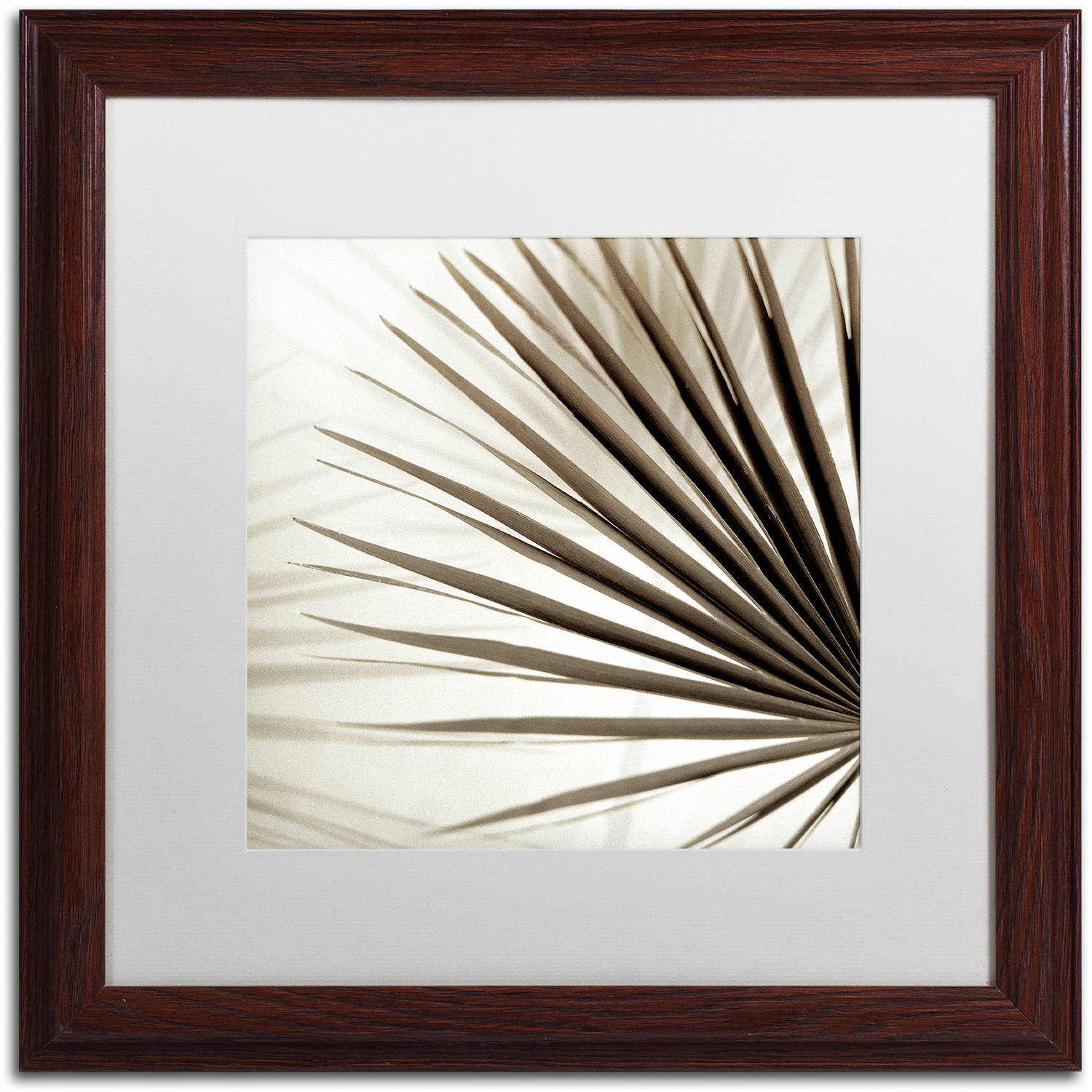 Trademark Fine Art "Florison 66" Canvas Art by Alan Blaustein, White Matte, Wood Frame