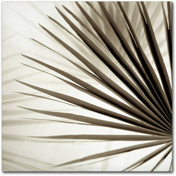 Trademark Fine Art "Florison 66" Canvas Art by Alan Blaustein