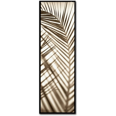 Trademark Fine Art "Florison 72" Canvas Art by Alan Blaustein