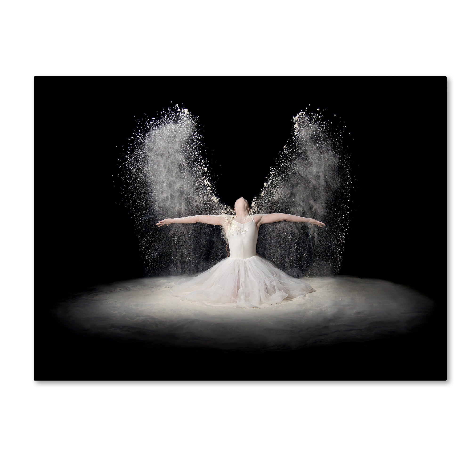 Trademark Fine Art 'Flour Wings' Canvas Art by Pauline Pentony