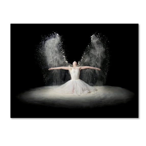 Trademark Fine Art 'Flour Wings' Canvas Art by Pauline Pentony