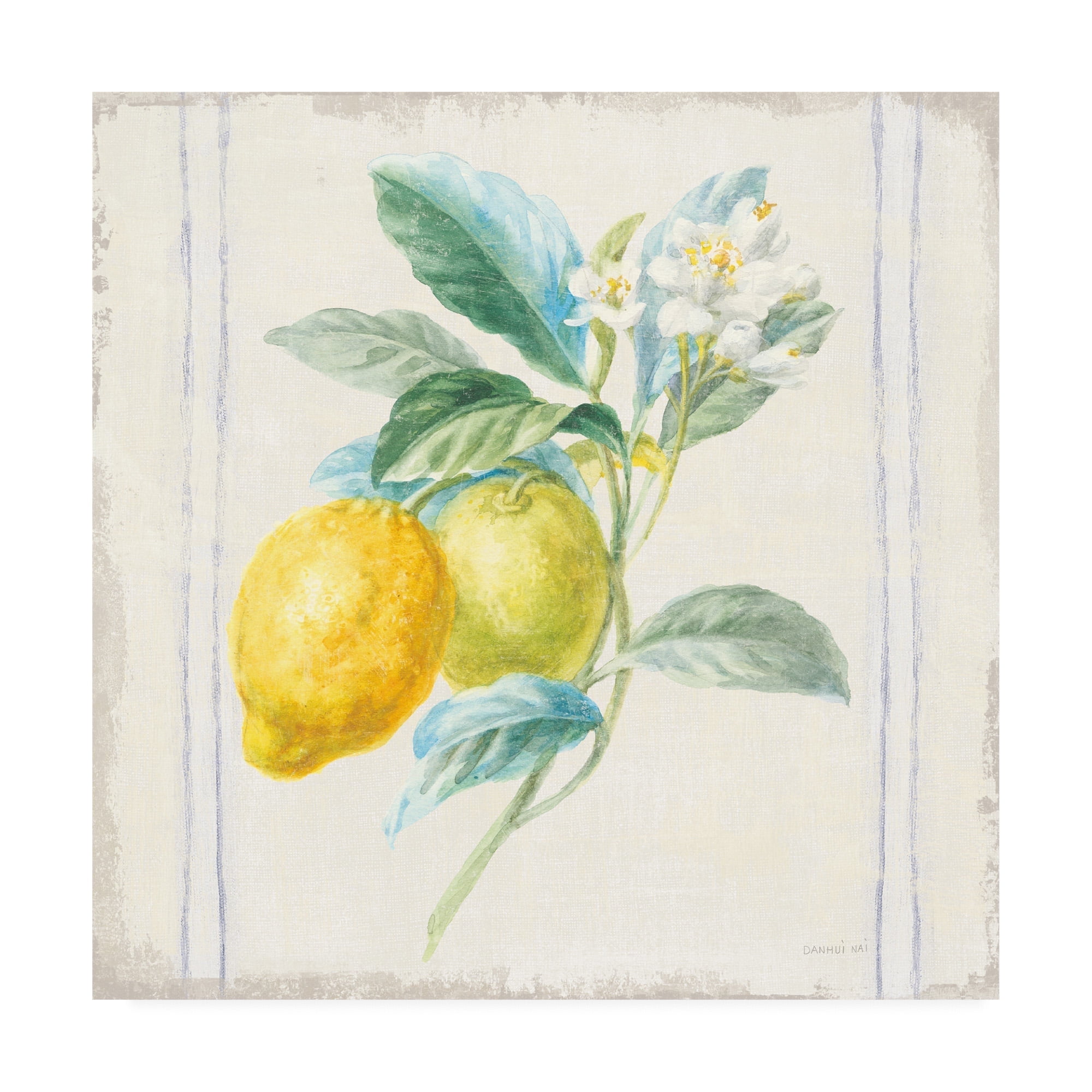 Trademark Fine Art 'Flour sack Lemons II Sq Navy' Canvas Art by Danhui Nai