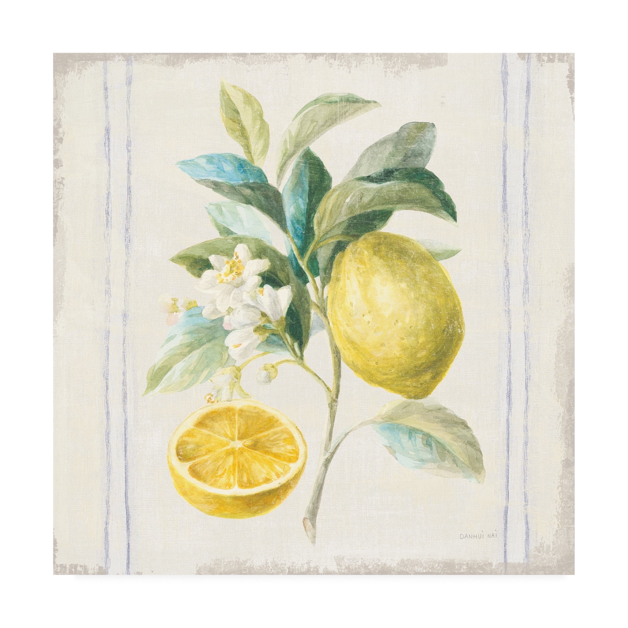 Bright Yellow Lemons on Branch Canvas Art Print, 14 x 14