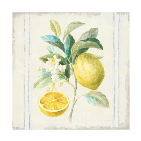 Trademark Fine Art 'Flour sack Lemons IV Sq Navy' Canvas Art by Danhui Nai