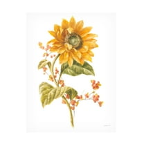 Trademark Fine Art 'Floursack Autumn I on White' Canvas Art by Danhui Nai