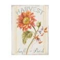 thumbnail image 1 of Trademark Fine Art 'Floursack Autumn II' Canvas Art by Danhui Nai, 1 of 3