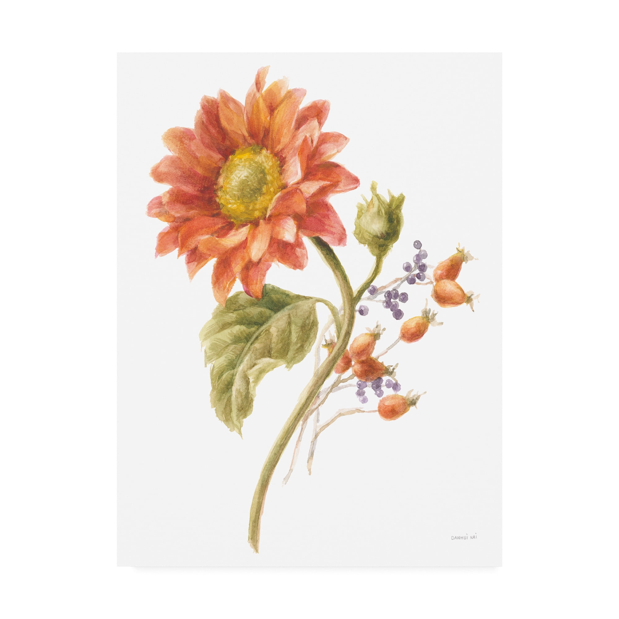 Trademark Fine Art 'Floursack Autumn II on White' Canvas Art by Danhui Nai