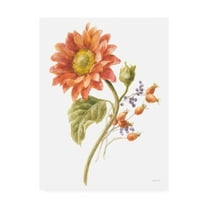 Trademark Fine Art 'Floursack Autumn II on White' Canvas Art by Danhui Nai