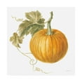 thumbnail image 1 of Trademark Fine Art 'Floursack Autumn VI on White' Canvas Art by Danhui Nai, 1 of 3