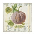 thumbnail image 1 of Trademark Fine Art 'Floursack Autumn VII' Canvas Art by Danhui Nai, 1 of 3