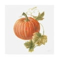 thumbnail image 1 of Trademark Fine Art 'Floursack Autumn VIII on White' Canvas Art by Danhui Nai, 1 of 3