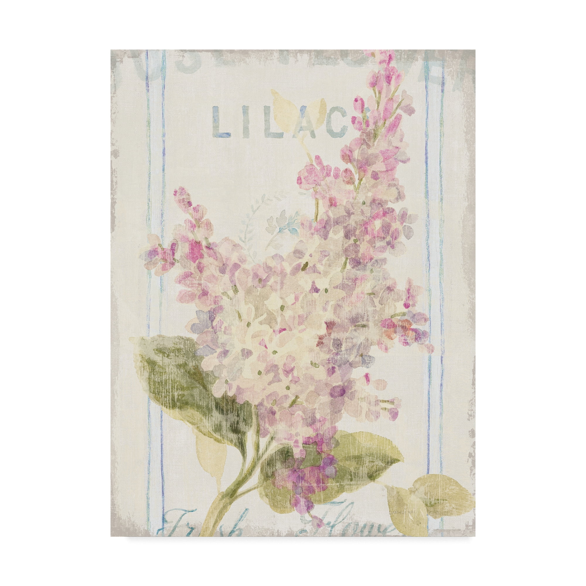 Trademark Fine Art 'Floursack Florals V' Canvas Art by Danhui Nai