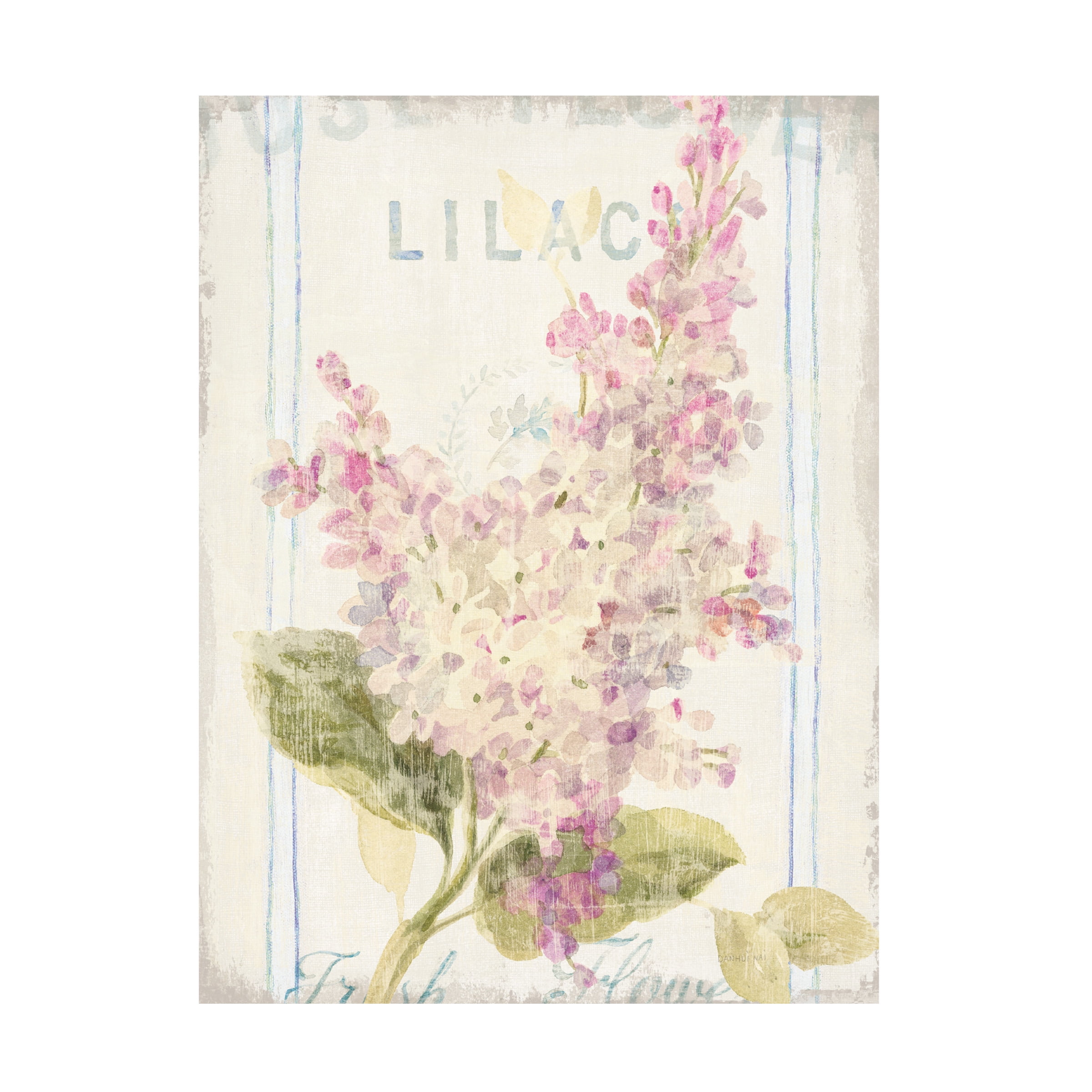 Trademark Fine Art 'Floursack Florals V' Canvas Art by Danhui Nai