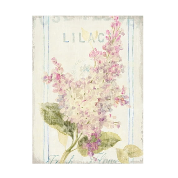 Trademark Fine Art 'Floursack Florals V' Canvas Art by Danhui Nai