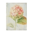 thumbnail image 1 of Trademark Fine Art 'Floursack Florals VI' Canvas Art by Danhui Nai, 1 of 3