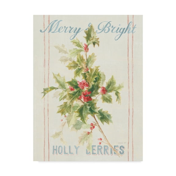 Trademark Fine Art 'Floursack Holiday I' Canvas Art by Danhui Nai