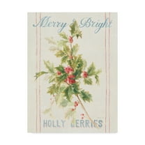 Trademark Fine Art 'Floursack Holiday I' Canvas Art by Danhui Nai