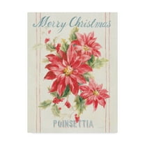 Trademark Fine Art 'Floursack Holiday III' Canvas Art by Danhui Nai