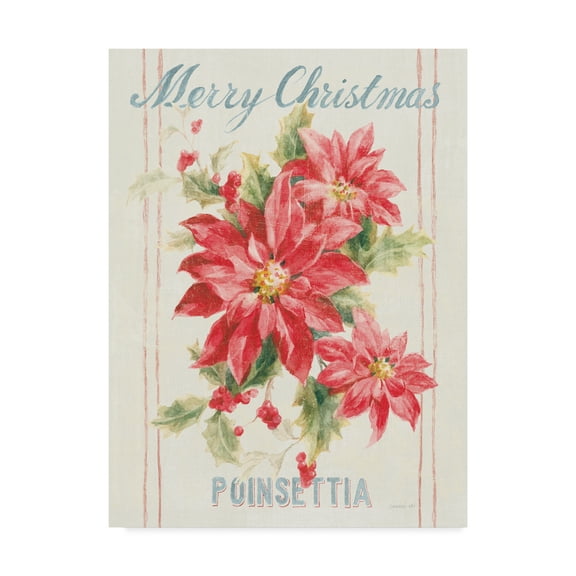 Trademark Fine Art 'Floursack Holiday III' Canvas Art by Danhui Nai