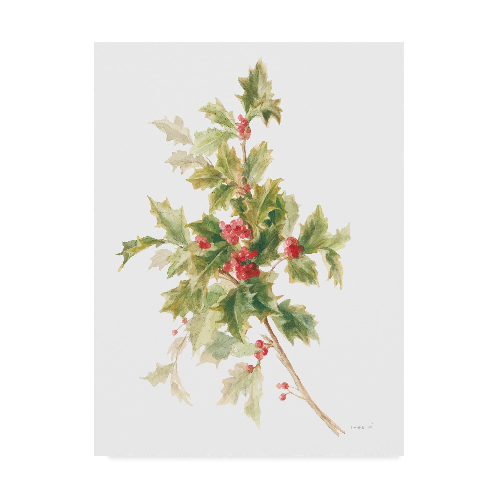 Trademark Fine Art 'Floursack Holiday IX' Canvas Art by Danhui Nai