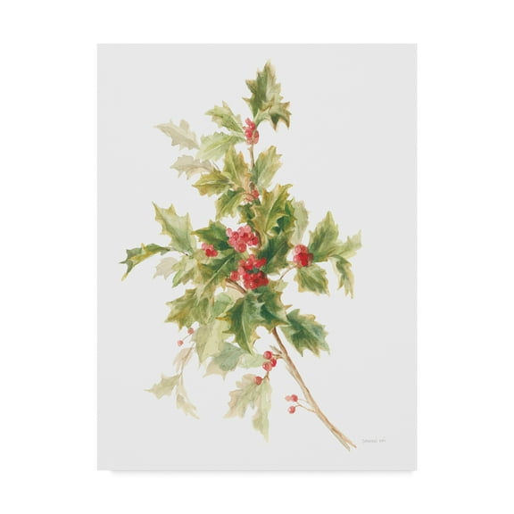 Trademark Fine Art 'Floursack Holiday IX' Canvas Art by Danhui Nai
