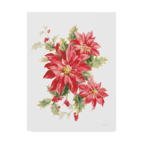 Trademark Fine Art 'Floursack Holiday XI' Canvas Art by Danhui Nai