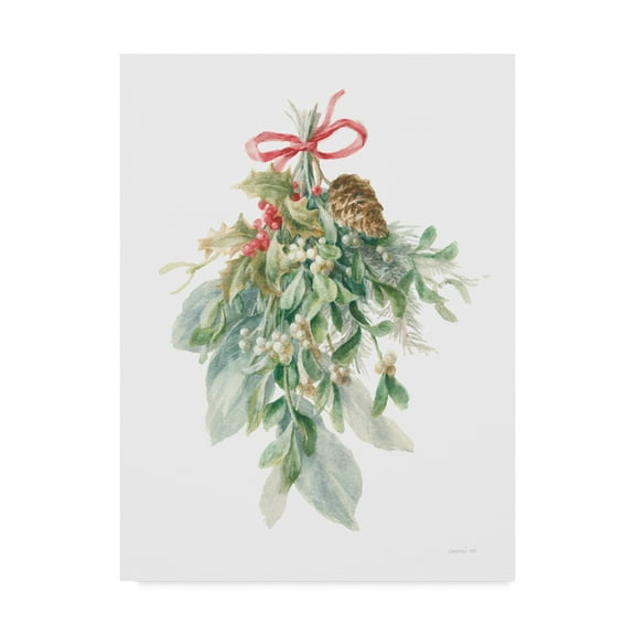 Trademark Fine Art 'Floursack Holiday XII' Canvas Art by Danhui Nai
