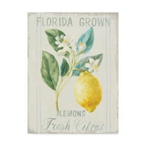 Trademark Fine Art 'Floursack Lemon I' Canvas Art by Danhui Nai