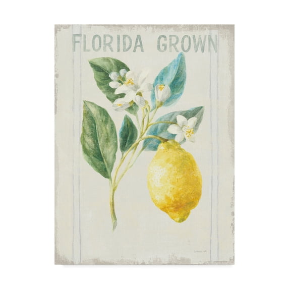 Trademark Fine Art 'Floursack Lemon I v2' Canvas Art by Danhui Nai